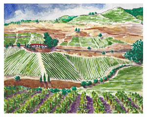 Quinta dos Crastos Terraced Vineyards Original