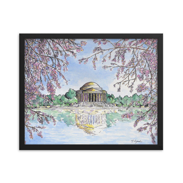 Jefferson Memorial Cherry Blossoms Framed Print