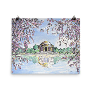 Jefferson Memorial Cherry Blossoms